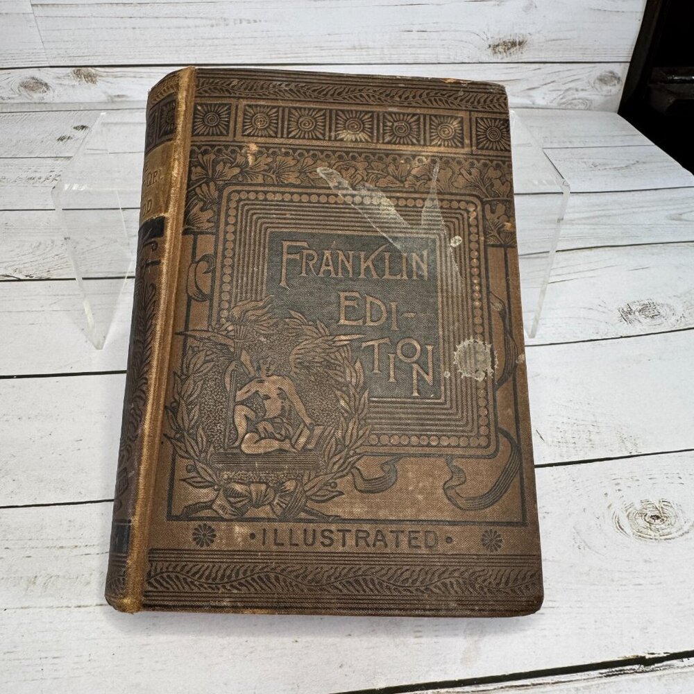 The Servant-Girl of the Period by Charles Chamberlain 1878 Franklin Edition